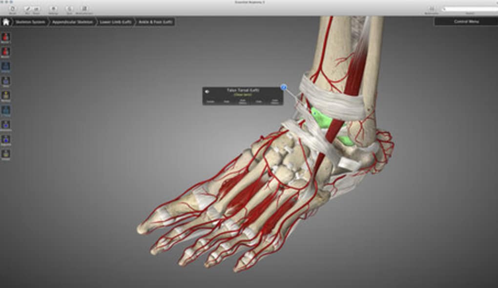 Essential Anatomy 5 Cracked For Mac